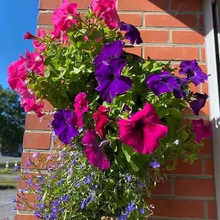 Lauralys ゲストハウス